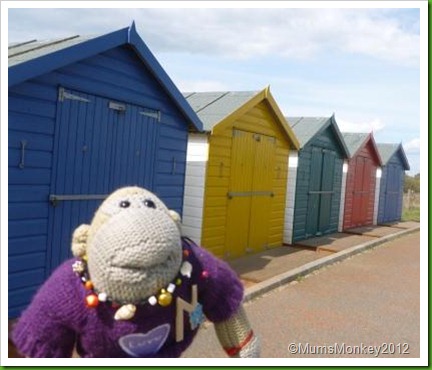 dawlish Warren beach Huts