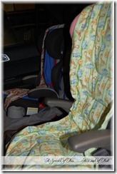 car seat coolers {A Sprinkle of This . . . . A Dash of That} car seat coolers {A Sprinkle of This . . . . A Dash of That}
