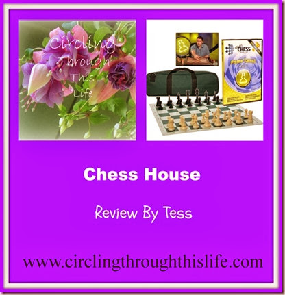 Chess House Review Collage