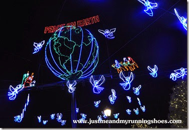 Osborne Family Spectacle of Dancing Lights (3)