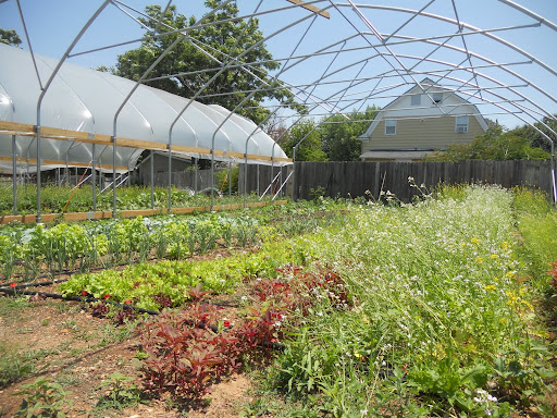 One of the farm's vegitation full high tunnels.
(Photo credit: Samuel Crowe)