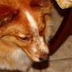 experiments 091.JPG