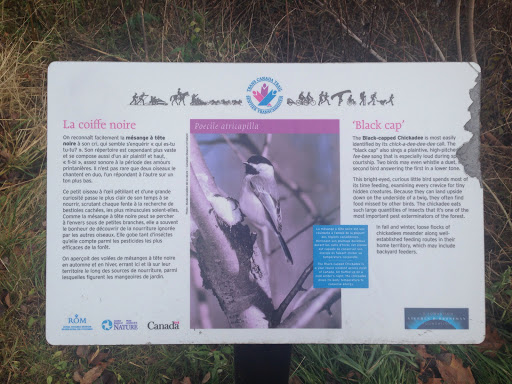 Black Cap Chickadee Trail Plaque 