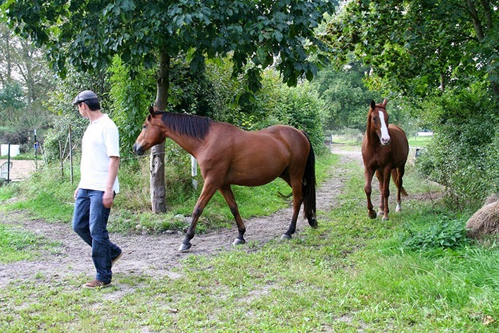 [IMG_5526%255B2%255D.jpg]