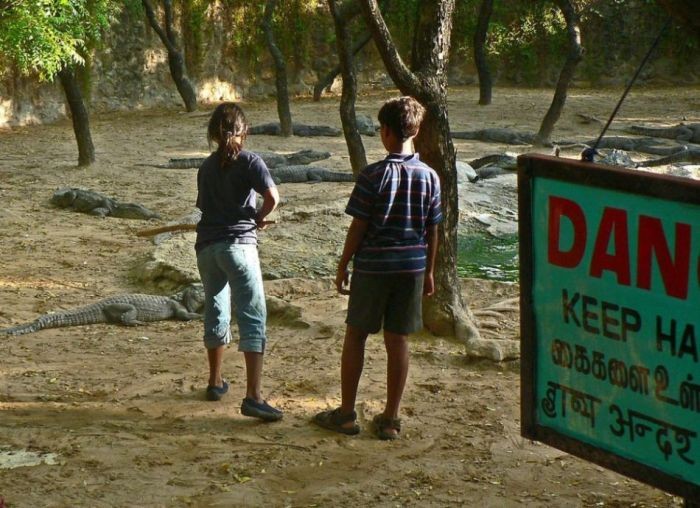 Unbelievable: Kids are training the crocodile