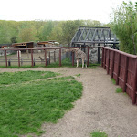 P1090621.JPG