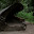 DSC_0026-2.jpg