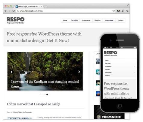 respo-theme-download-responsive