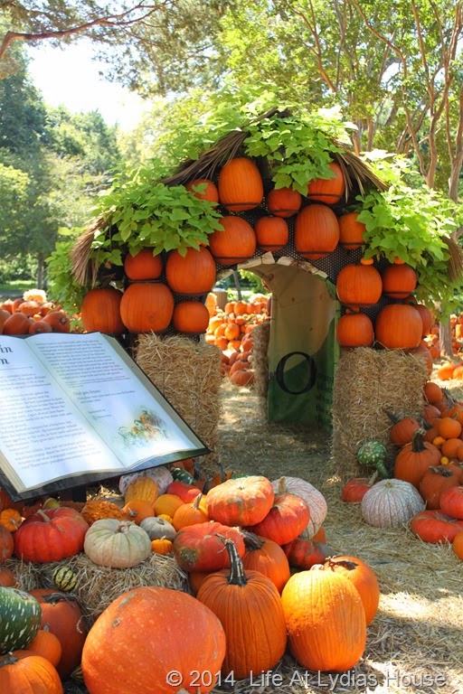 [Dallas-Arboretum---pumpkin-festival-%255B88%255D.jpg]