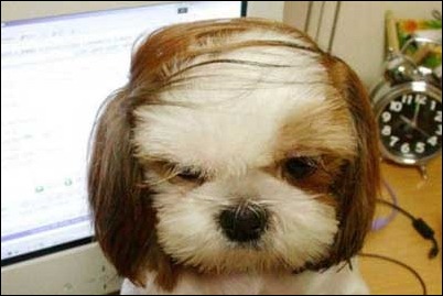 comb_overs_37