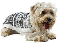 Alpakkagenser for hund: Aspen Chic