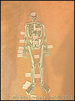 My little princess world