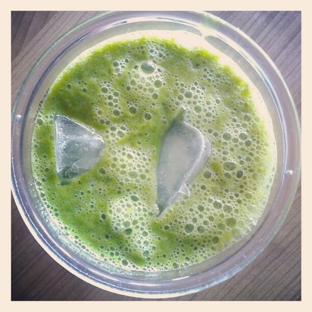 [1%2520Gr%25C3%25BCner%2520Smoothie%2520auf%2520Eis%255B3%255D.jpg]