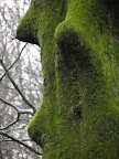 PC230036.JPG