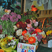 DSC_0136.JPG