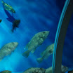 hokkaido_540.jpg