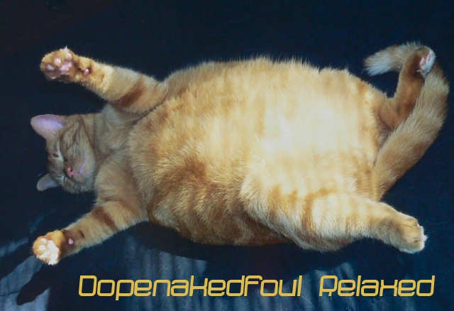 [cats-as-fonts-22%255B3%255D.jpg]