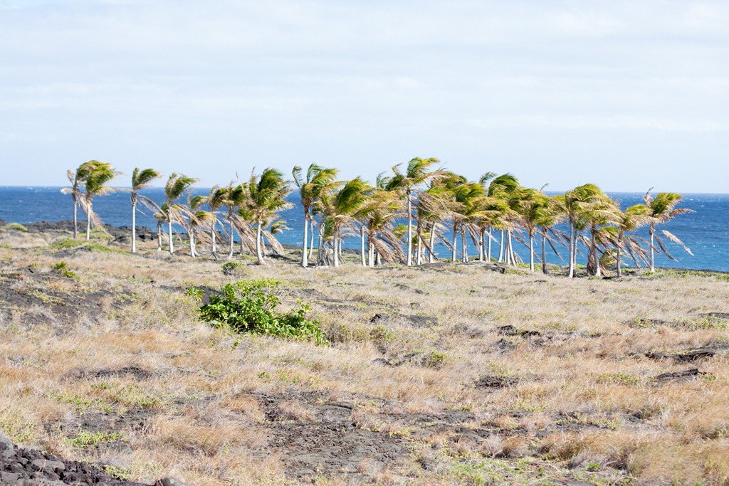 [20121214-IMG_3287%255B4%255D.jpg]