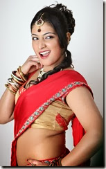 Haripriya Latest Hot Navel Photos from Galata Movie, Haripriya New Hot Photos Actress Gallery