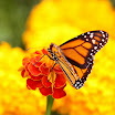 IMG_8573 E.jpg