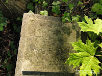 Cmentarz przy ul. Samotnej w Poznaniu