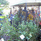 Digital StillCamera