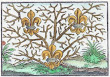 Woodcut 02 From The Prognostications Of Paracelsus