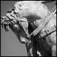 Buda Heroes Sq horse_edited-1