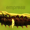 Common Rose.JPG