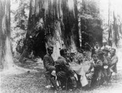 The_Rockefellers_in_the_redwoods-2014-04-4-09-25.jpg