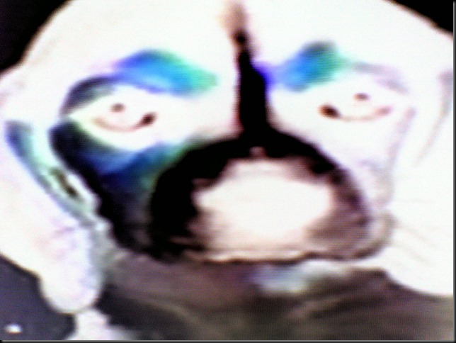 0507031432a 0507031432a