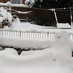 More Snow