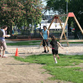 sportdag groep 3 en 4