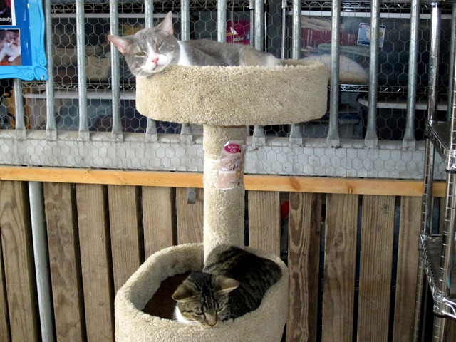 [IMG_2127%255B2%255D.jpg]