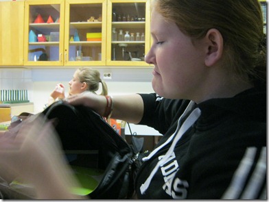 IMG_0387 IMG_0387