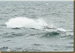 Whale Watch  _ROT3984   NIKON D3S June 02, 2011
