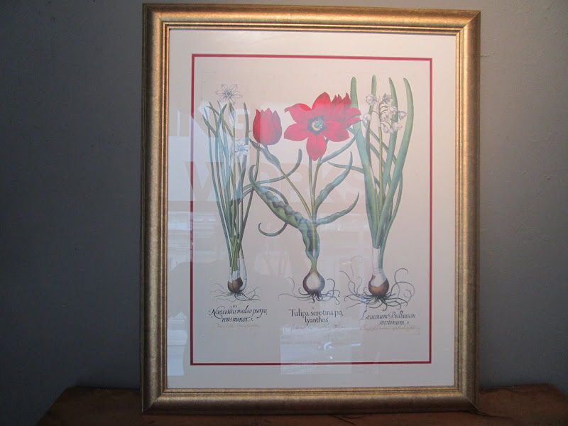 Botanical Print  1