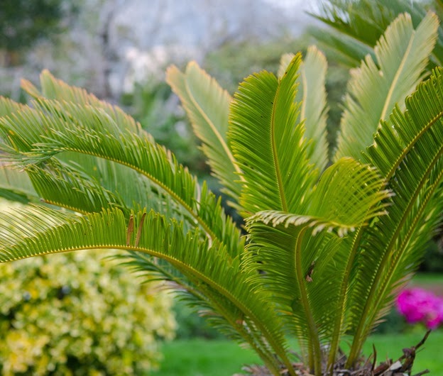 [Monte%2520Carlo-33%255B4%255D.jpg]