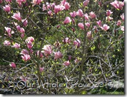 IMG_3744 IMG_3744