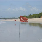 l007.jpg