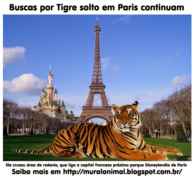 [tigre-paris%255B3%255D.jpg]