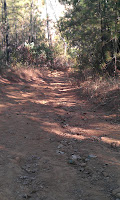 IMAG0071.jpg Photo