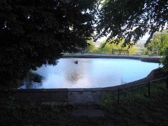[DSC070876.jpg]