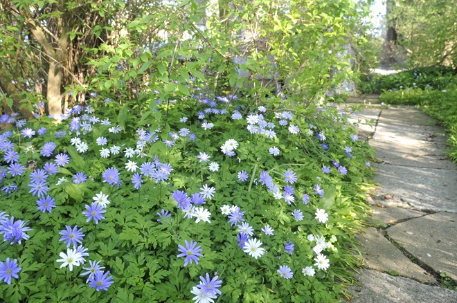 20120501_161452