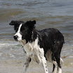 IMG_9442.JPG