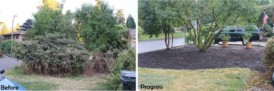 yard-work-before-after