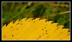 web_IMG_6206