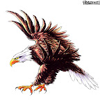 eagle-64.jpg