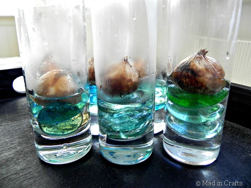 add warm water add warm water