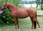 Isadora juli 2010